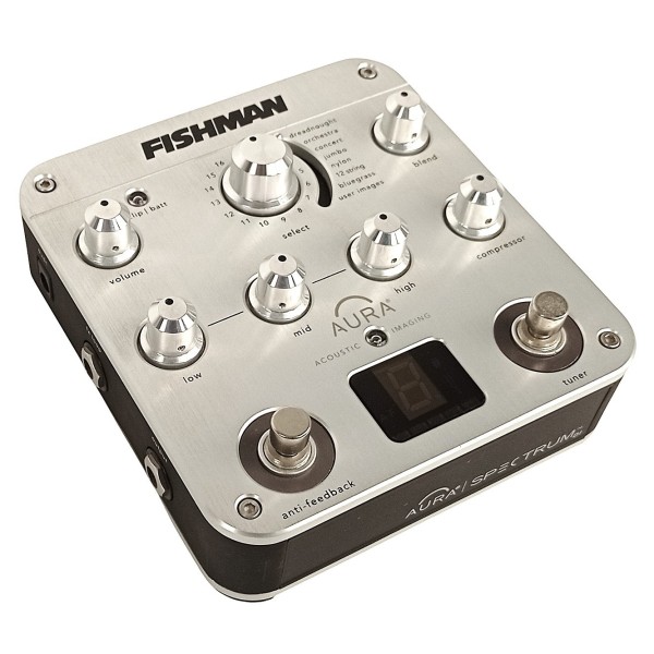 ギター FISHMAN Aura Dreadnought