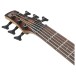 Ibanez SR506A, Mahogany Brown Burst Low Gloss - headstock