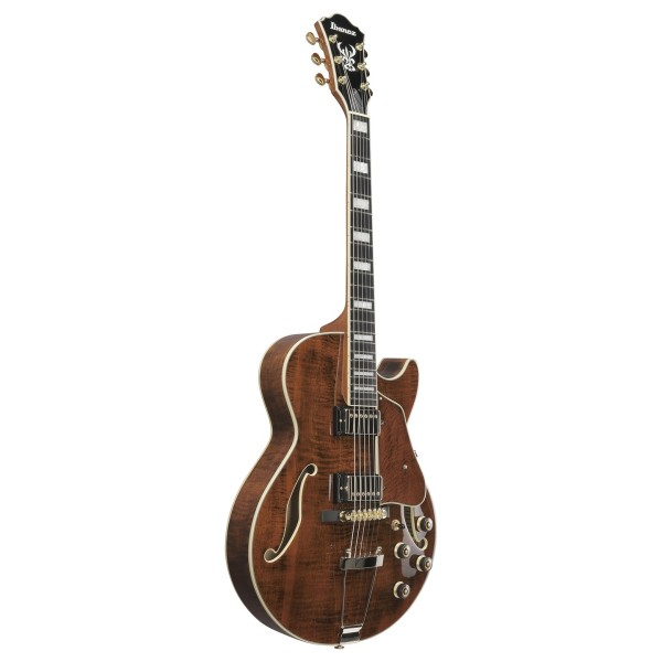 Ibanez AG95MG Artcore Expressionist, Dark Amber - side view