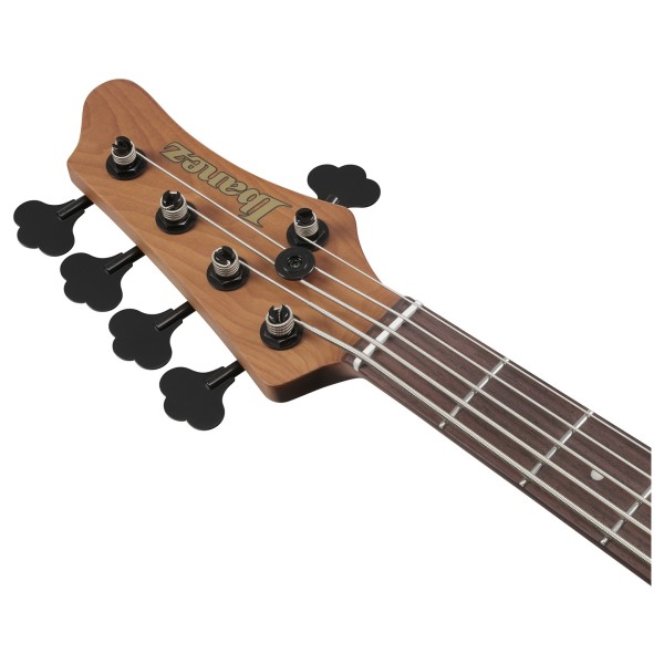 Ibanez MDM1605 Mode, Natural Mocha Low Gloss - headstock