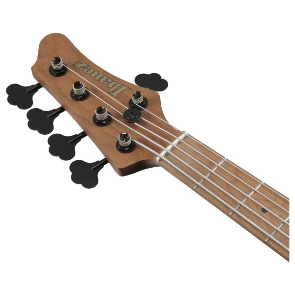 Ibanez MDM1305 Mode, Natural Stained Amber Burst - headstock