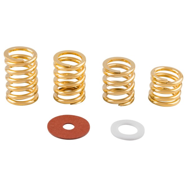 Bigsby Spring and Washer Pack, Gold