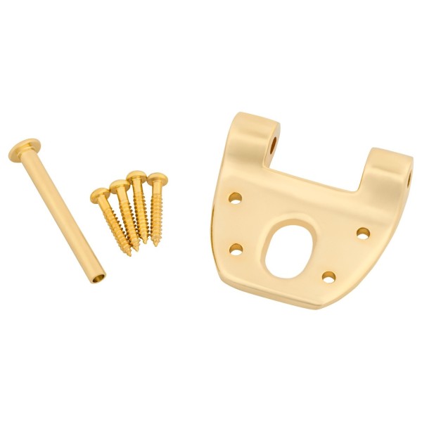 Bigsby Extra Short Hinge, w/Hinge Pin and Screws, Gold