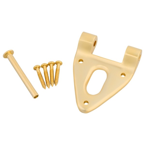 Bigsby Conventional Hinge w/Hinge Pin and Screws, Gold