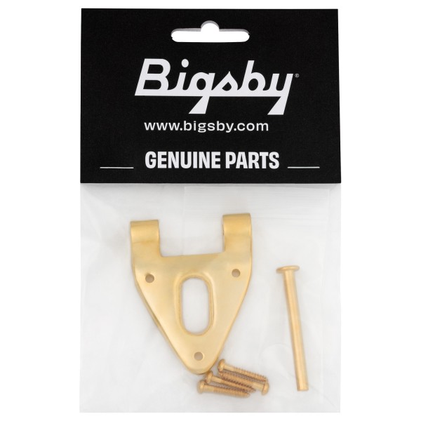 Bigsby Conventional Hinge w/Hinge Pin and Screws, Gold - package