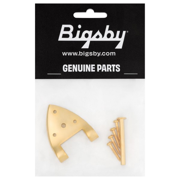 Bigsby B3/6C Gretsch Hinge, with Hinge Pin and Screws, Gold - package