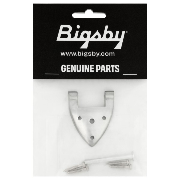 Bigsby B3/6C Gretsch Hinge, with Hinge Pin and Screws, Polished - package