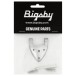 Bigsby B3/6C Gretsch Hinge, with Hinge Pin and Screws, Polished - package
