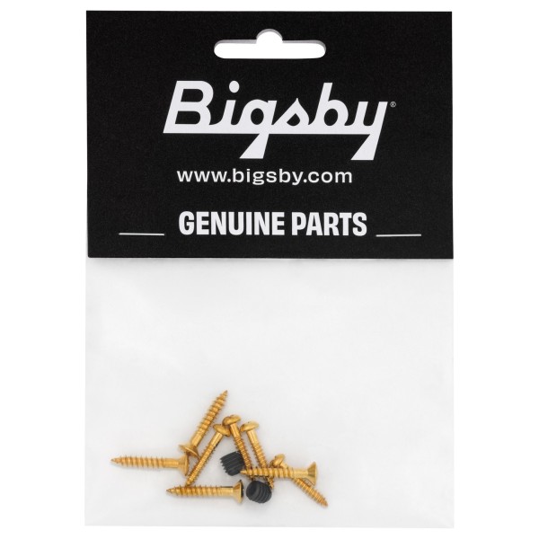 Bigsby Screw Pack, Gold - package