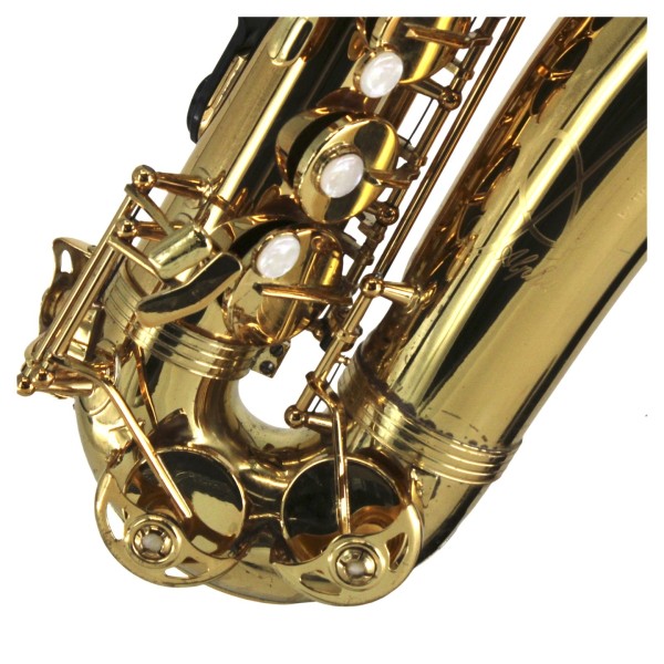 Trevor James AlphaSax Alto Saxophone Outfit, Gold Lacquer - Secondhand ...