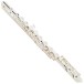 Forte Fl220 Flute Outfit