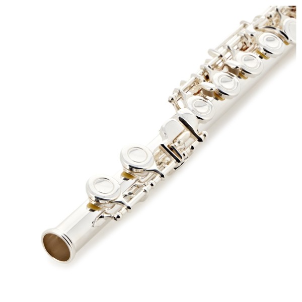 Forte Fl220 Flute Outfit