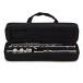 Forte Fl220 Flute Outfit