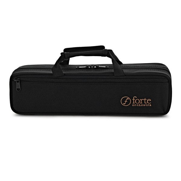 Forte Fl220 Flute Outfit