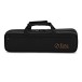Forte Fl220 Flute Outfit