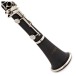 Forte Cl220 Bb Clarinet Outfit