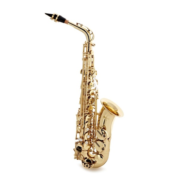 Forte As220 Eb Alto Saxophone Outfit