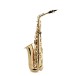 Forte As220 Eb Alto Saxophone Outfit