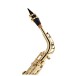 Forte As220 Eb Alto Saxophone Outfit
