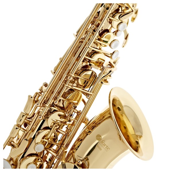 Forte As220 Eb Alto Saxophone Outfit