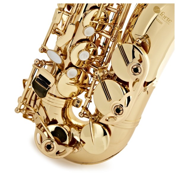 Forte As220 Eb Alto Saxophone Outfit