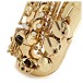 Forte As220 Eb Alto Saxophone Outfit