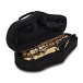 Forte As220 Eb Alto Saxophone Outfit