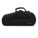 Forte As220 Eb Alto Saxophone Outfit