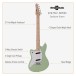 Seattle Electric Guitar