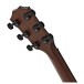 Taylor AD17e, Sunburst - Nearly New - back of headstock