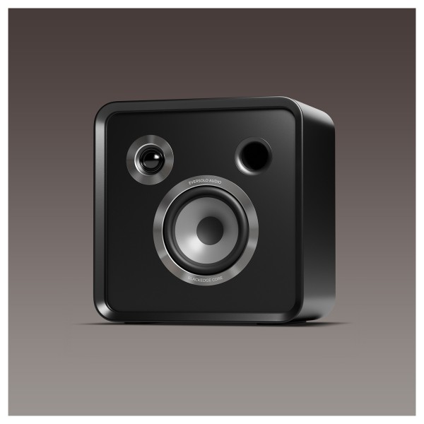 Eversolo SE100 Passive HiFi Bookshelf Speakers  lifestyle 1
