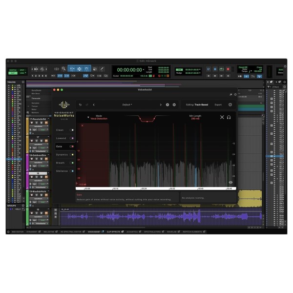 NoiseWorks VoiceAssist 