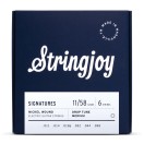 Stringjoy Signatures Drop Tune Medium Gauge (11-58) Nickel Wound Electric Guitar Strings