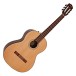 Fender CN-60S Nylon WN, Natural