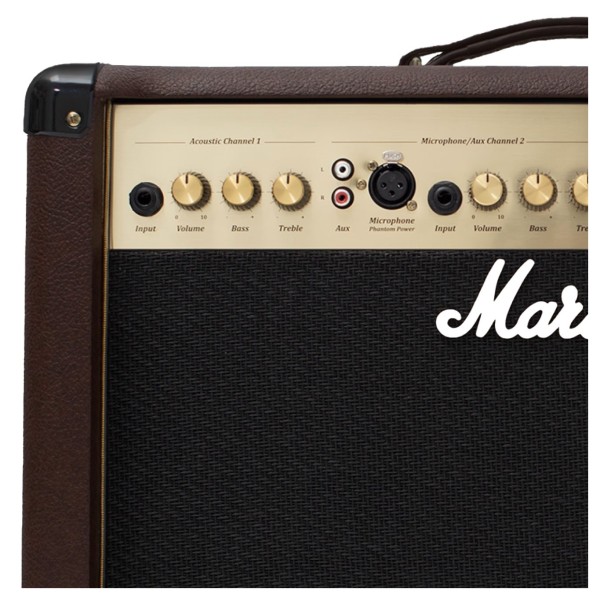 Marshall AS50D Acoustic Combo - input