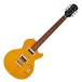 Epiphone Slash 'AFD' Les Paul Special II Outfit
