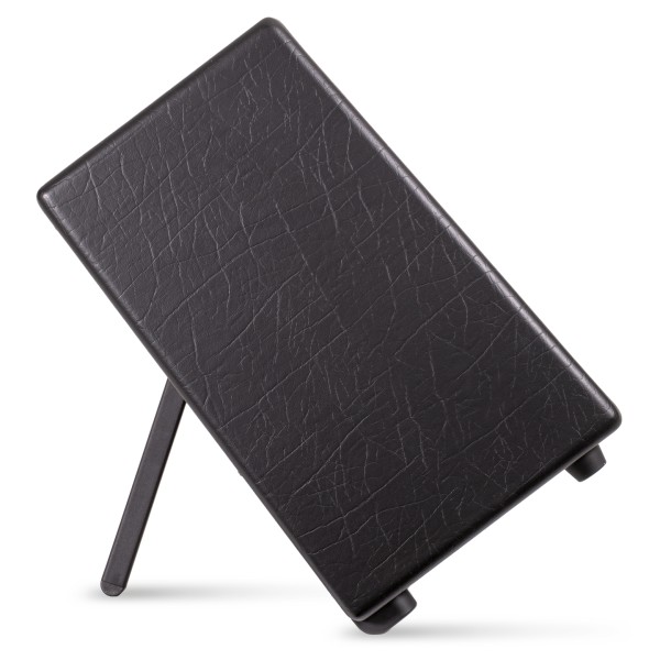 Blackstar Artist FR Standard - kick stand (side)