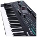 ASM Leviasynth Hybrid 61-Note Synthesizer - Detail 5