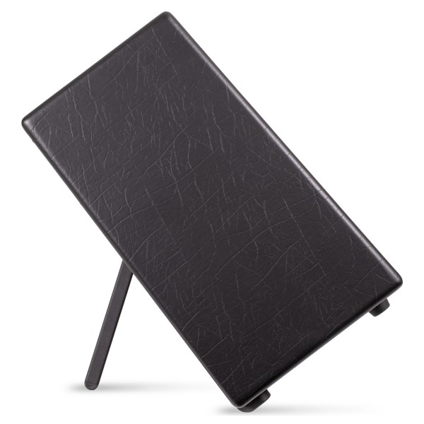 Blackstar Artist FR Special - kick stand (side)