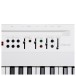 Liano LIVE! Compact Digital Piano, White