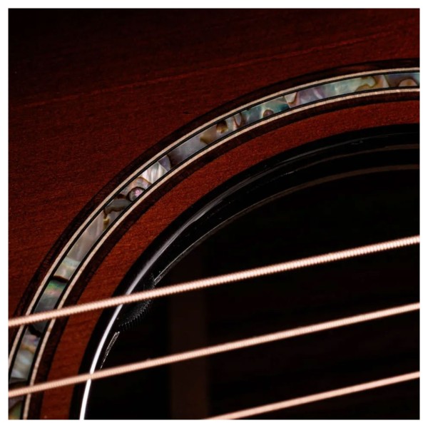 Taylor Builder's Edition 814ce Next Generation, Honduran / Sinker Redwood - soundhole rosette and controls