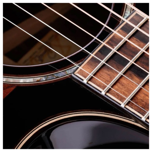 Next Generation Builder's Edition 814ce Indian Rosewood/Adirondack Spruce Blacktop - upper frets