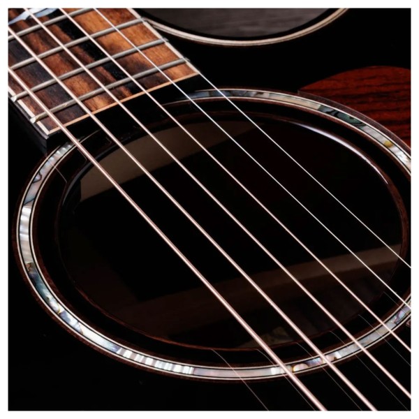 Next Generation Builder's Edition 814ce Indian Rosewood/Adirondack Spruce Blacktop - soundhole