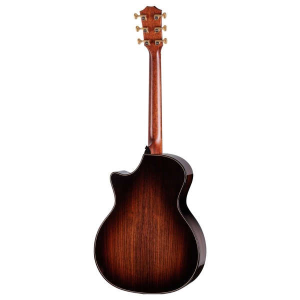 Next Generation Builder's Edition 814ce Indian Rosewood/Adirondack Spruce Blacktop - back