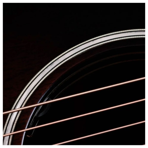 Taylor Builder's Edition 324ce Next Generation - soundhole rosette detail