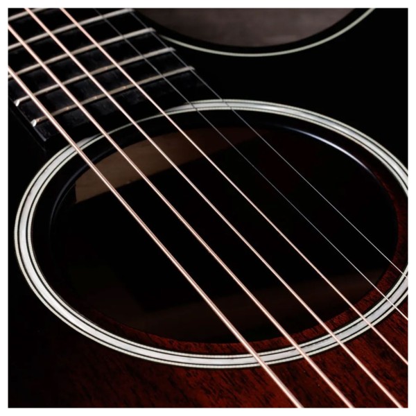 Taylor Builder's Edition 324ce Next Generation - soundhole