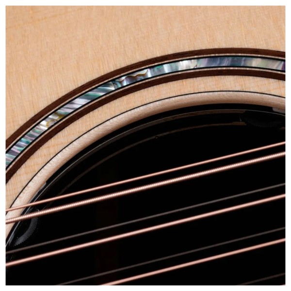 Taylor 854ce Next Generation soundhole rosette and controls