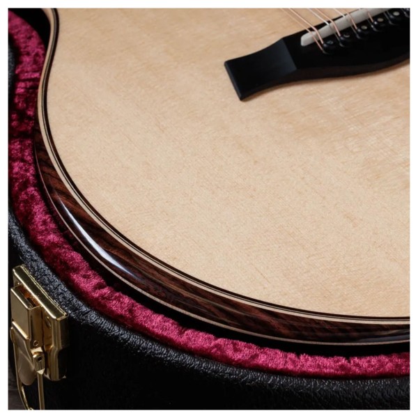 Taylor 854ce Next Generation - guitar in case