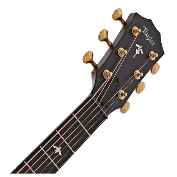 Taylor Builder's Edition 614ce, Wild Honey Burst - Nearly New - headstock