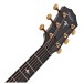 Taylor Builder's Edition 614ce, Wild Honey Burst - Nearly New - headstock